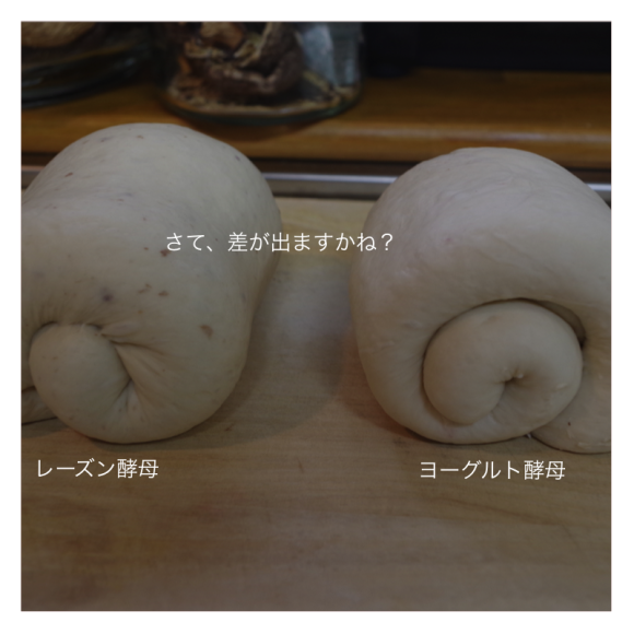 c0275289_12035820.png