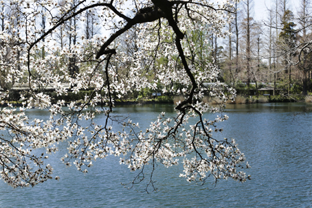 a0025490_1116334.jpg