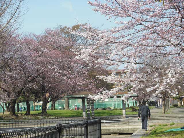 b0120492_11213657.jpg