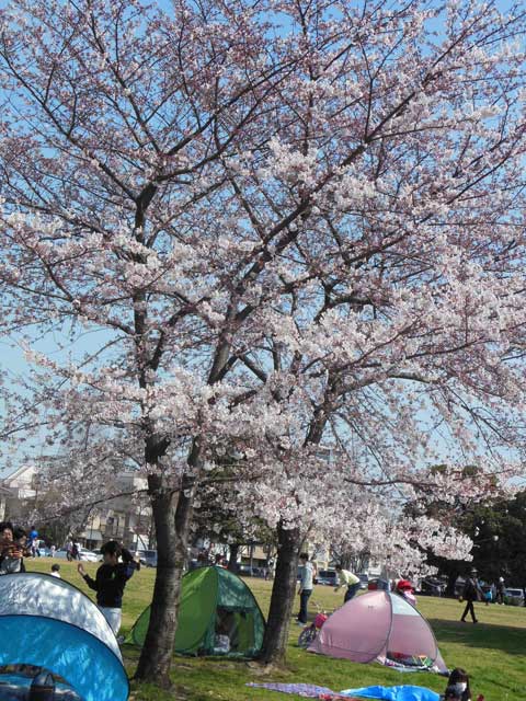 b0120492_11222023.jpg