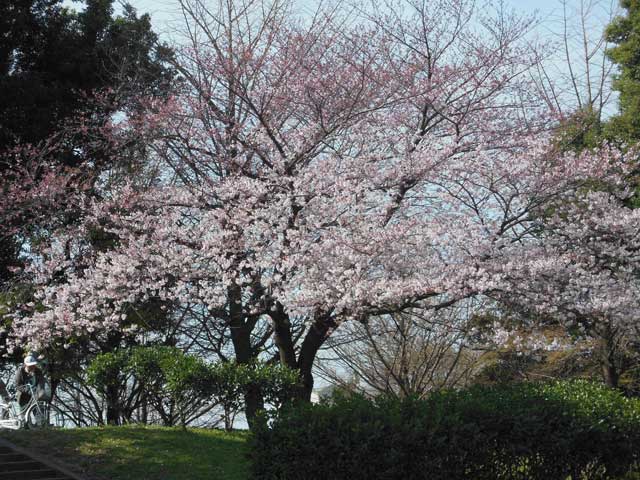 b0120492_11224220.jpg