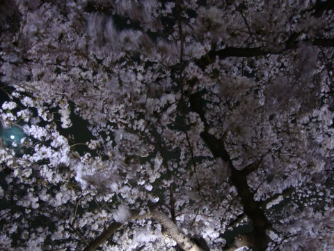 c0322794_17581616.jpg