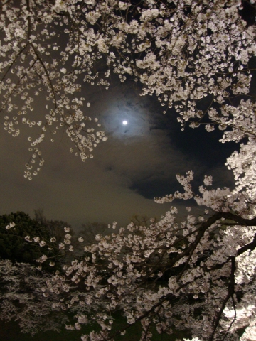 c0322794_1759166.jpg