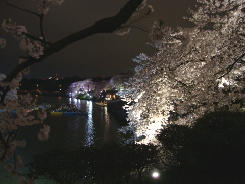 c0322794_17592479.jpg