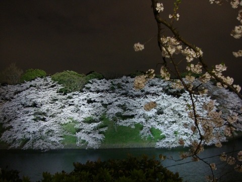 c0322794_17593983.jpg