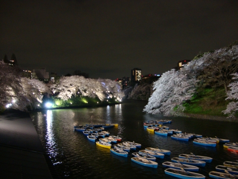 c0322794_180237.jpg