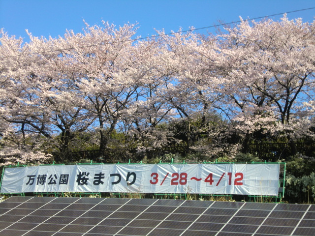b0044296_13274881.jpg