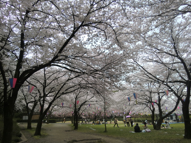 b0044296_13543426.jpg