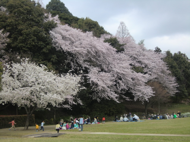 b0044296_13555696.jpg