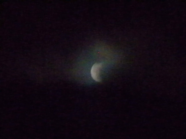 a0199297_22462463.jpg