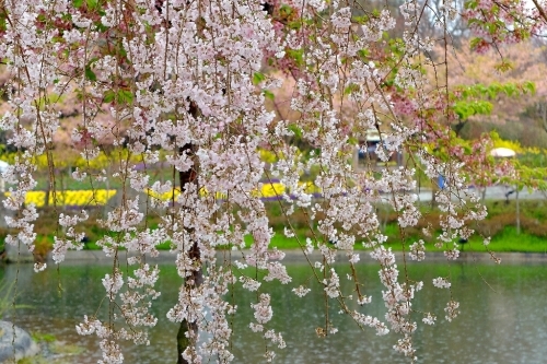 e0304001_16322398.jpg