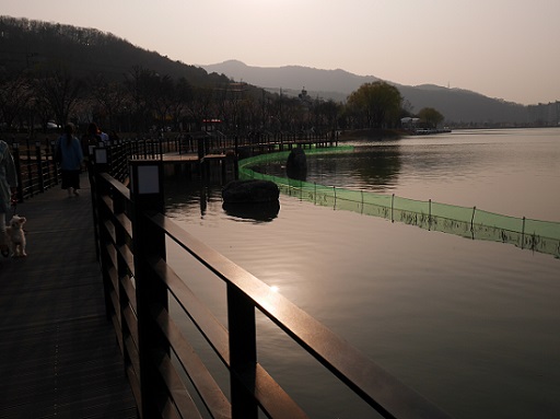 a0140305_2293596.jpg