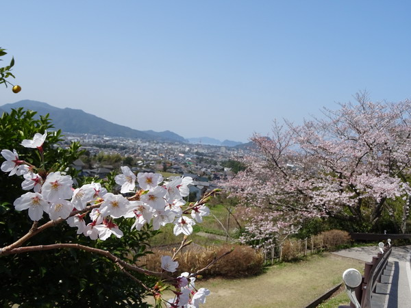b0052108_1524141.jpg