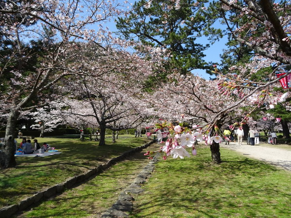 b0052108_2413319.jpg