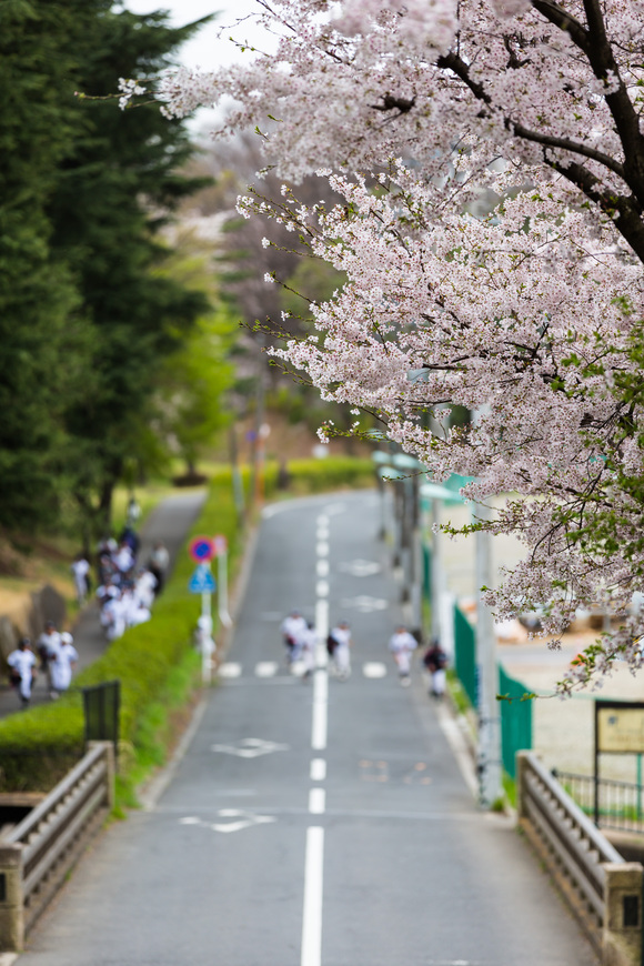 f0302208_2011771.jpg