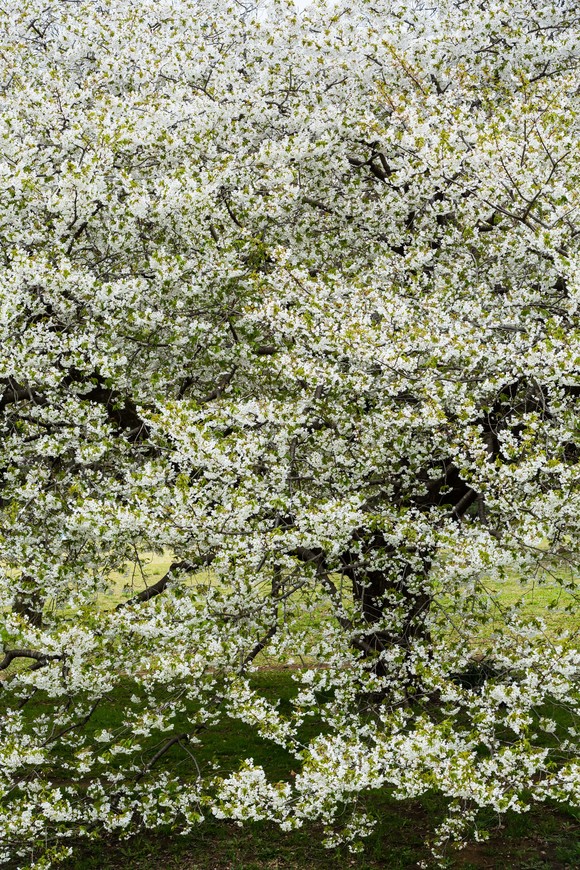 f0302208_2012414.jpg