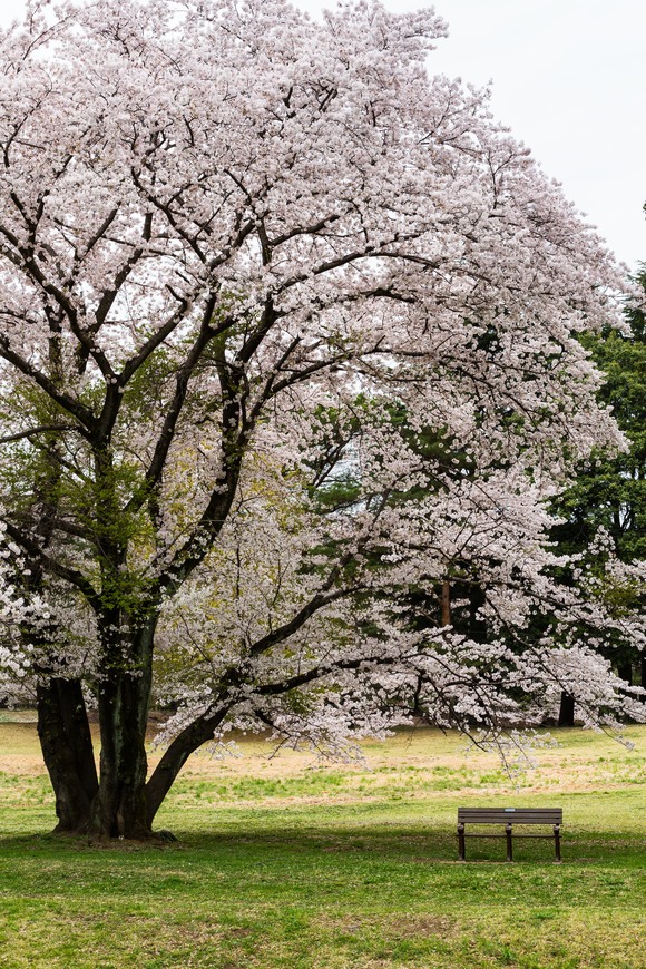 f0302208_20125142.jpg