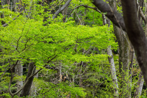 f0302208_20132593.jpg