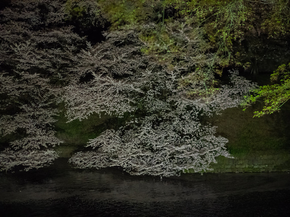 f0302208_8401574.jpg