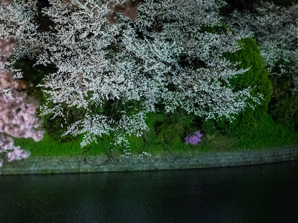 f0302208_8553196.jpg