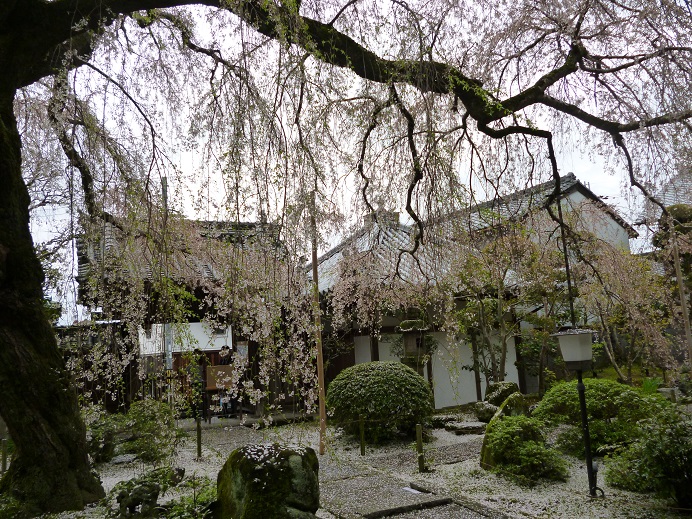 f0228619_20251243.jpg
