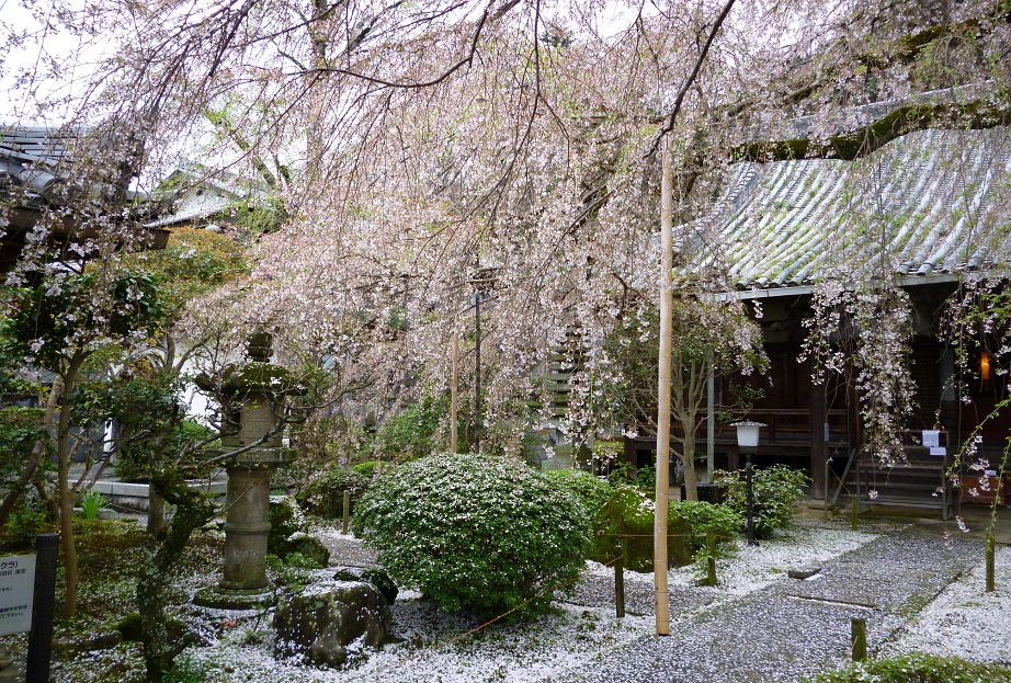 f0228619_23373552.jpg