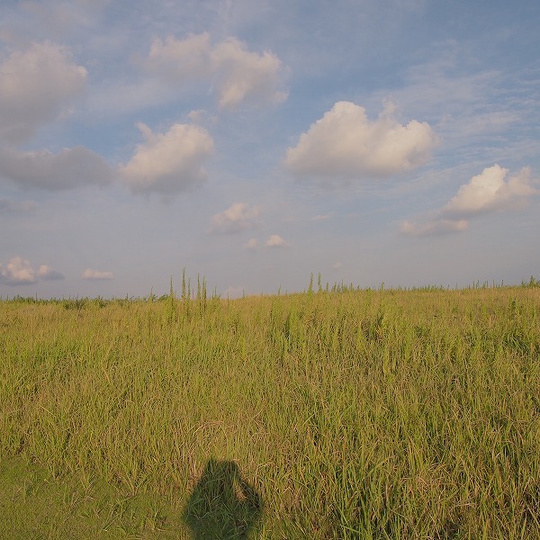 a0148431_23031083.jpg