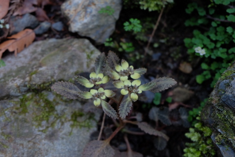 b0281732_7184438.jpg