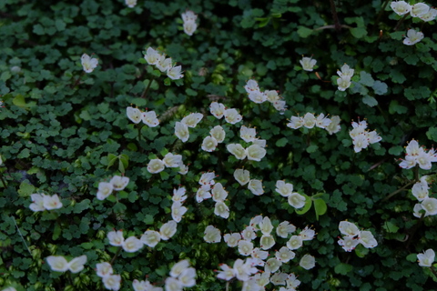 b0281732_719478.jpg