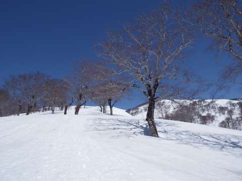 f0118332_00150647.jpg