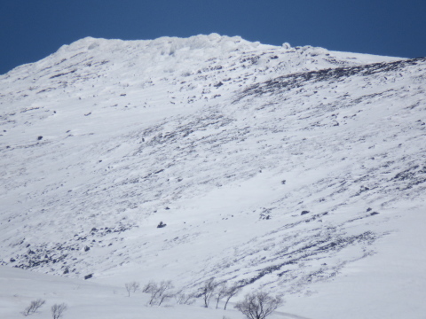 f0118332_01262479.jpg