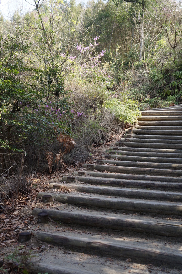 b0164533_16454979.jpg