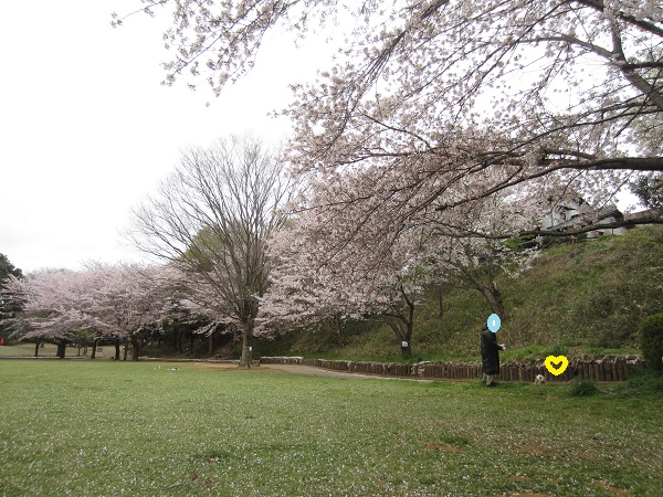 f0002833_12485677.jpg