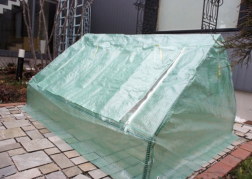 f0205733_22463313.jpg