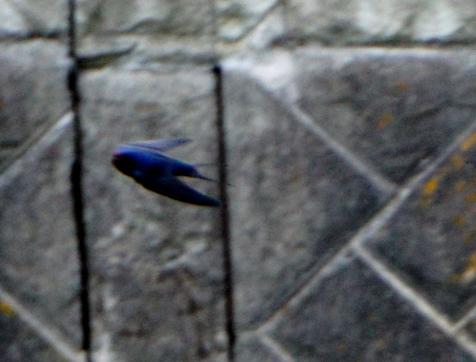 e0149934_194297.jpg
