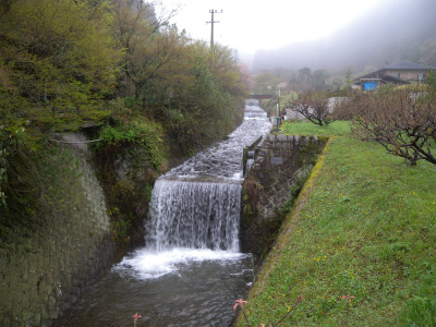 e0272335_1725393.jpg