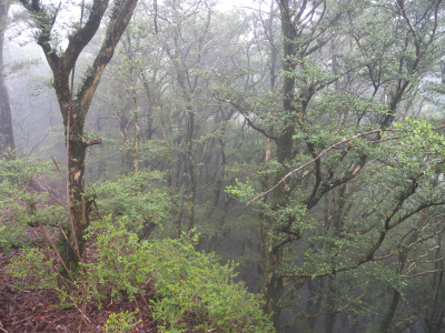 e0272335_1914836.jpg