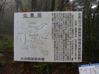 e0272335_19303985.jpg