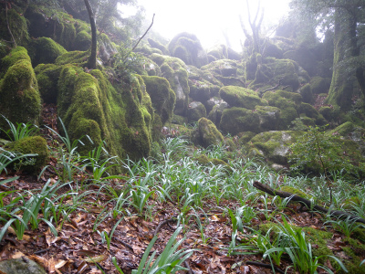 e0272335_2012398.jpg