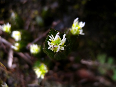 e0272335_2026344.jpg