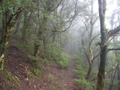 e0272335_204120.jpg