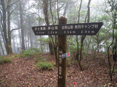 e0272335_2061485.jpg