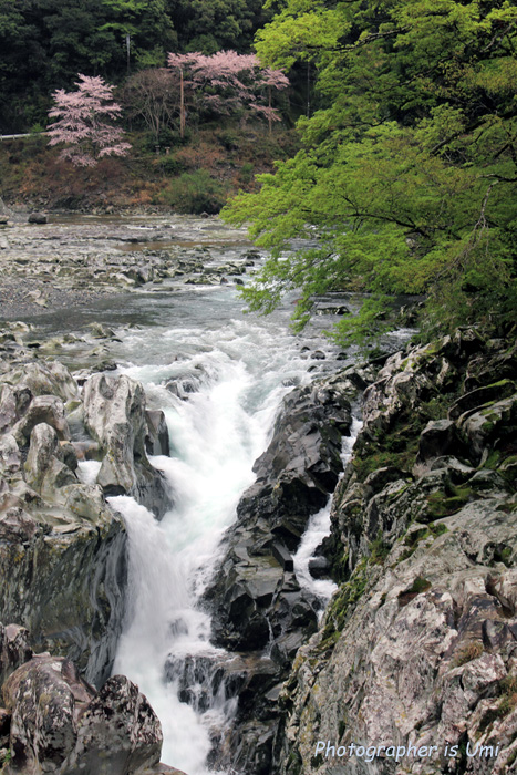 e0083238_2315205.jpg