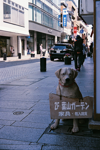 f0009439_9223967.jpg
