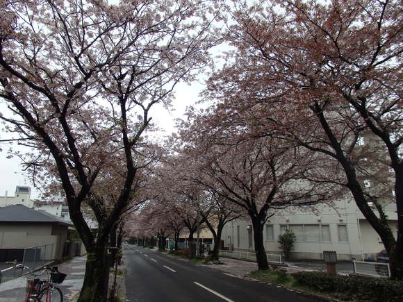 a0054240_22113376.jpg