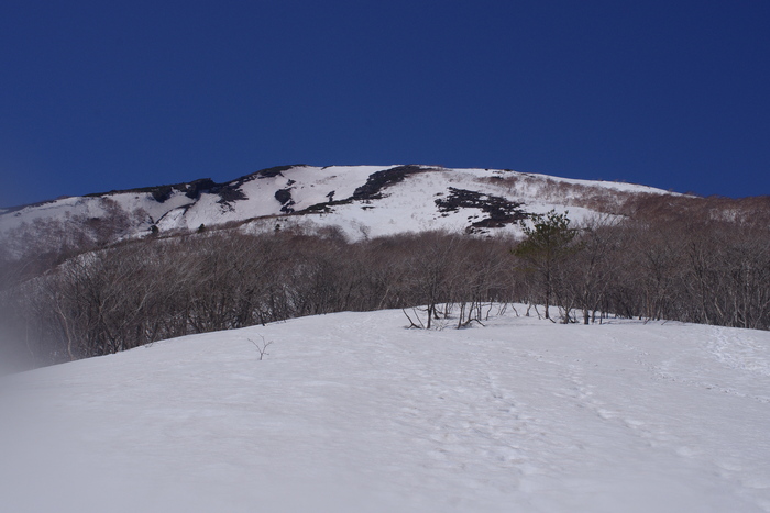 c0077847_9431192.jpg