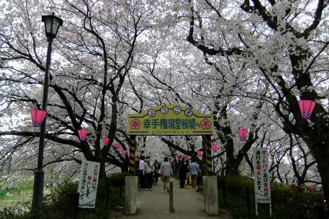 d0131847_13192037.jpg