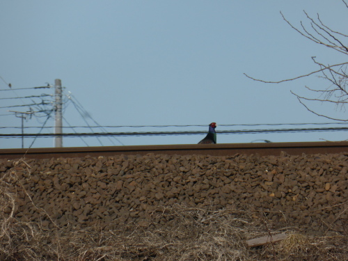 b0238249_11092726.jpg