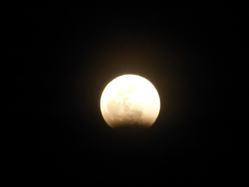 b0238249_11130429.jpg