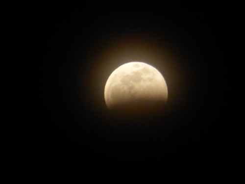 b0238249_11133698.jpg